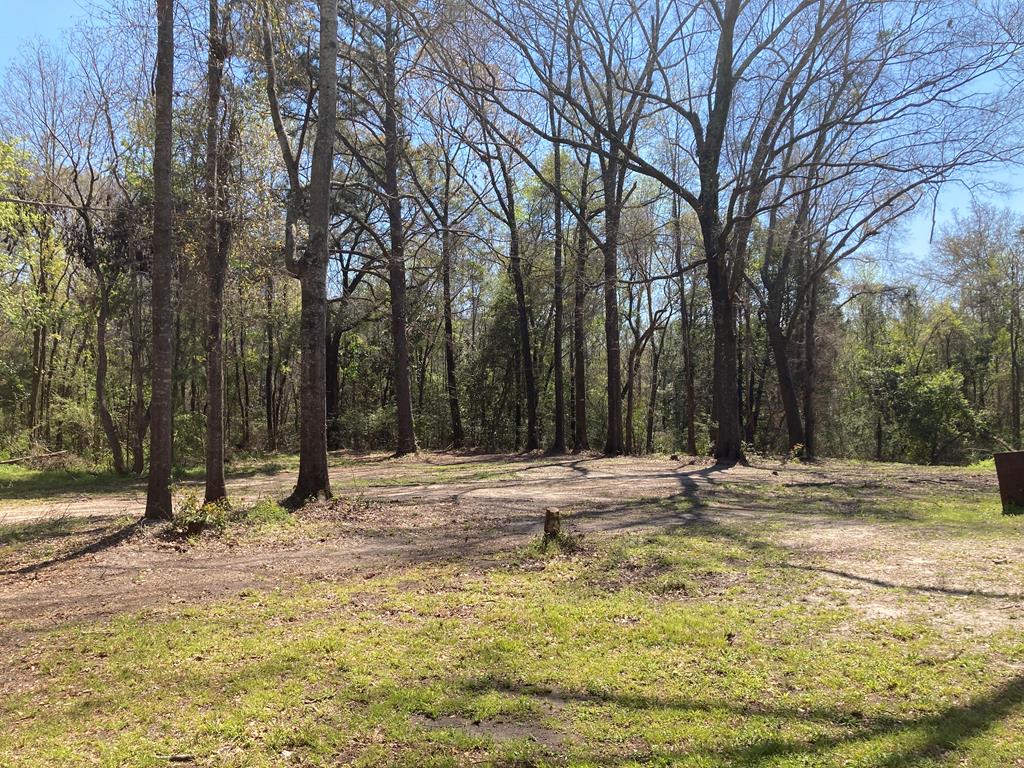 313 Ridge Road Castleberry, AL 36432 - Photo 35 of 35