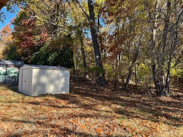 a view of outdoor space with large trees