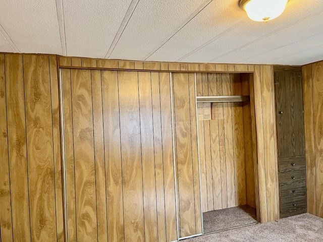 56 Contessa Lane Springfield, MA 01119 - Photo 9 of 25 a close view of walk in closet