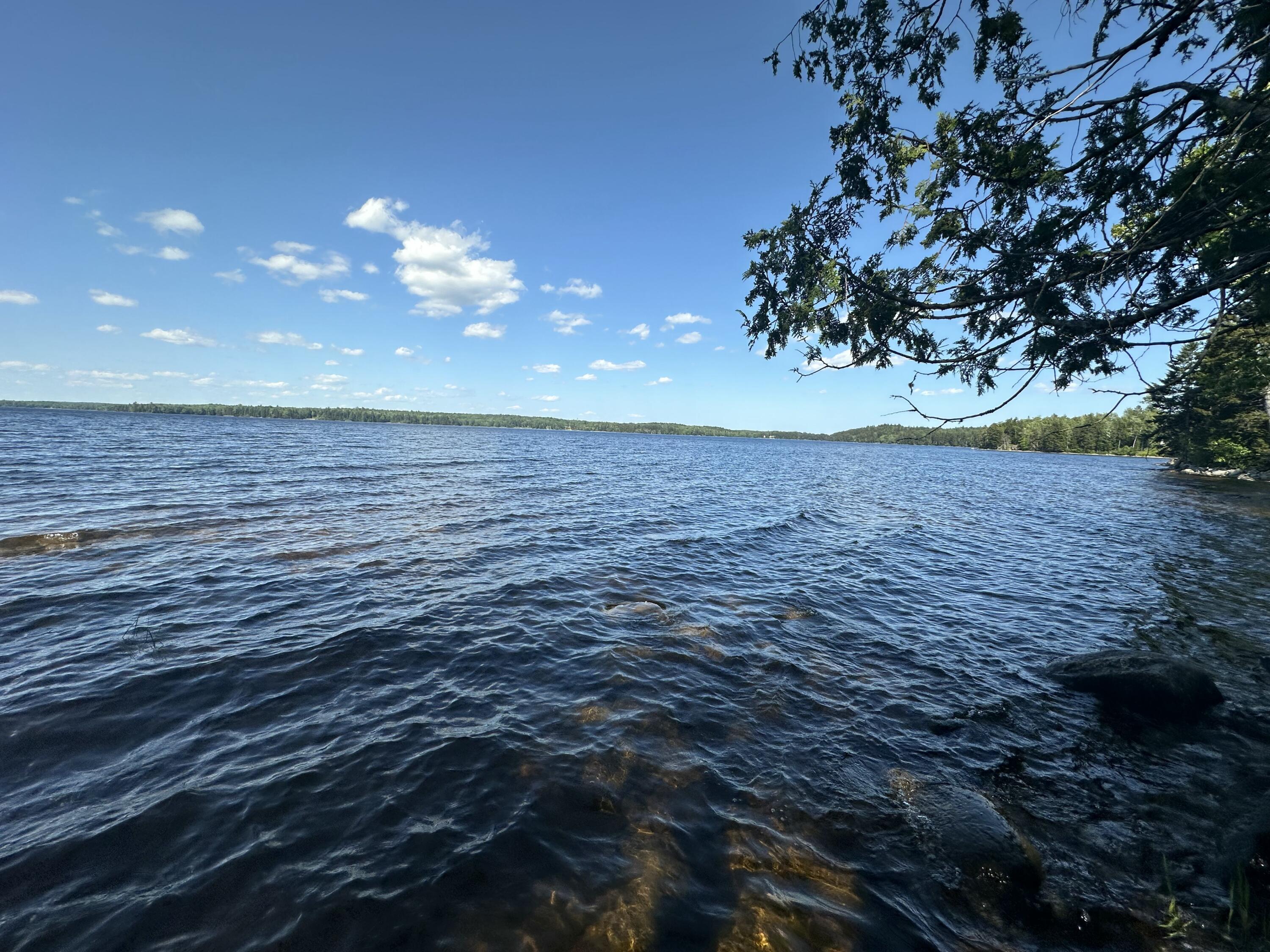 32 Dinsmore Lane Whiting, ME 04691 - Photo 1 of 29 IMG_9543