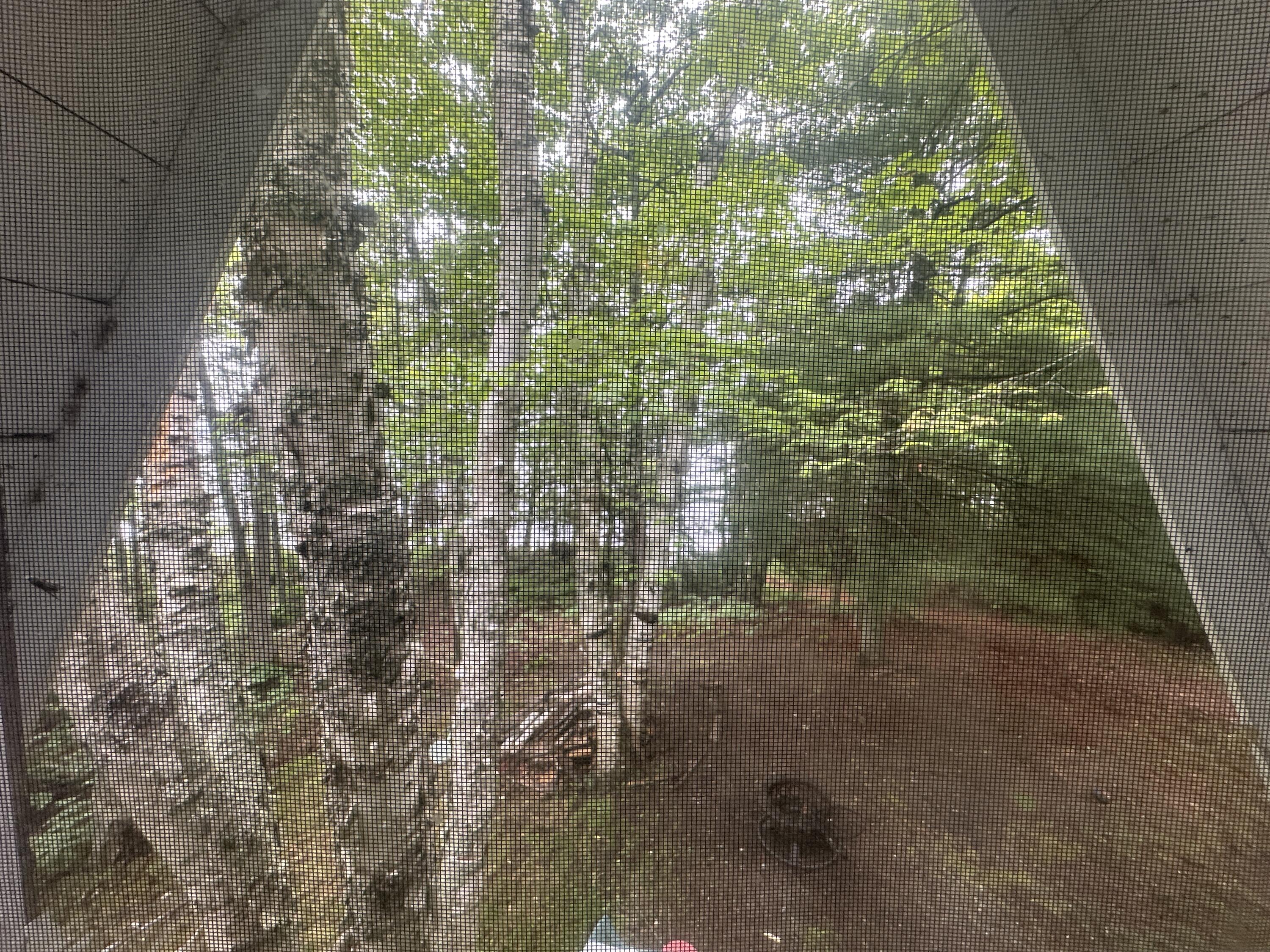 32 Dinsmore Lane Whiting, ME 04691 - Photo 19 of 29 Window view of Outside