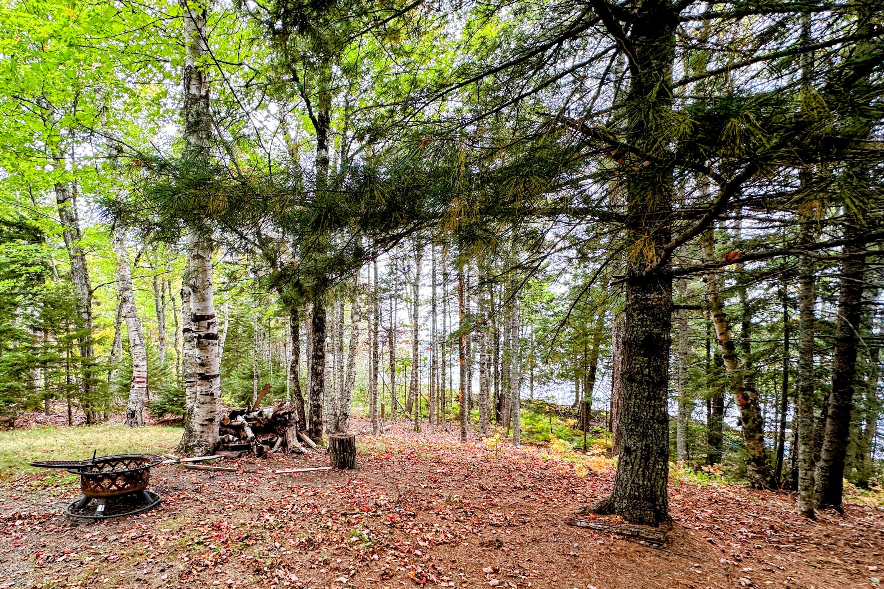 32 Dinsmore Lane Whiting, ME 04691 - Photo 5 of 29 View of Lake from A frame