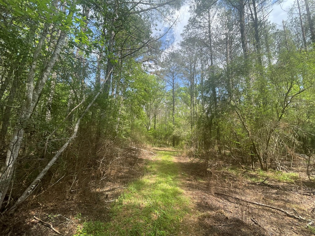 2687 Bethel Road Liberty, MS 39645 - Photo 11 of 17 Photo 11