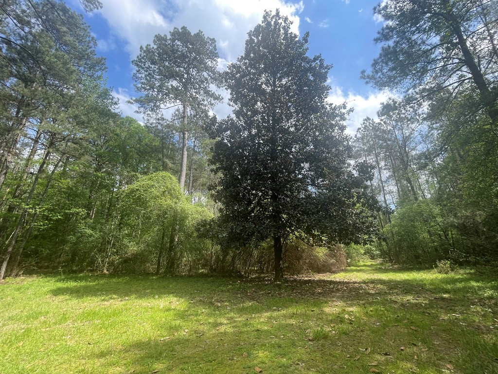 2687 Bethel Road Liberty, MS 39645 - Photo 12 of 17 Photo 12