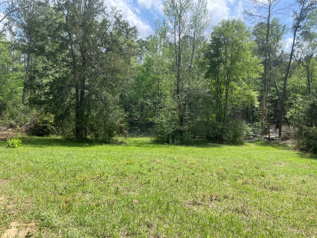 2687 Bethel Road Liberty, MS 39645 - Photo 13 of 17 Photo 13