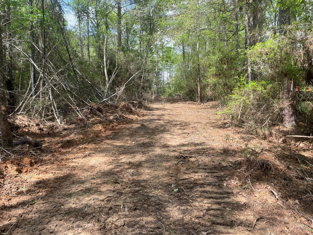 2687 Bethel Road Liberty, MS 39645 - Photo 16 of 17 Photo 16