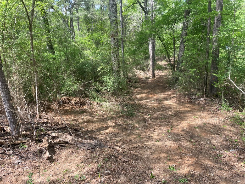 2687 Bethel Road Liberty, MS 39645 - Photo 17 of 17 Photo 17