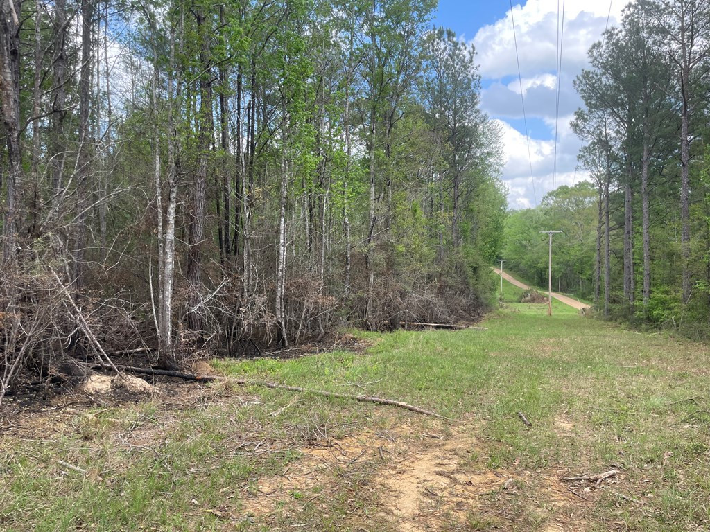 2687 Bethel Road Liberty, MS 39645 - Photo 2 of 17 Photo 2