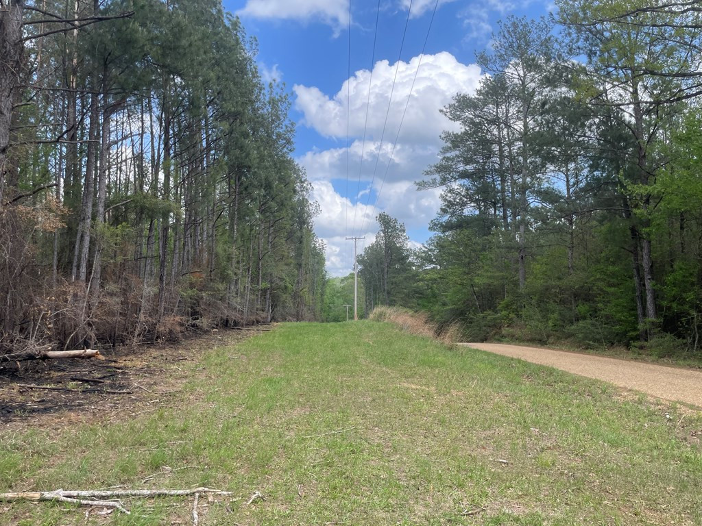 2687 Bethel Road Liberty, MS 39645 - Photo 3 of 17 Photo 3