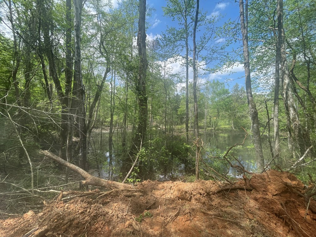 2687 Bethel Road Liberty, MS 39645 - Photo 6 of 17 Photo 6