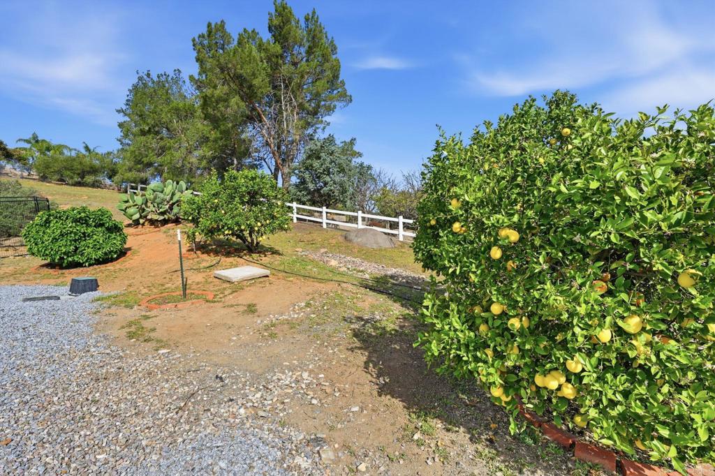 2852 Conestoga Court Alpine, CA 91901 - Photo 55 of 65 a backyard of a house with lots of green space
