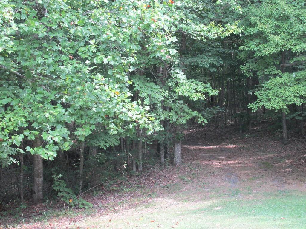 2631 Frye Bridge Road Clemmons, NC 27012 - Photo 15 of 20 Gallery Image 15
