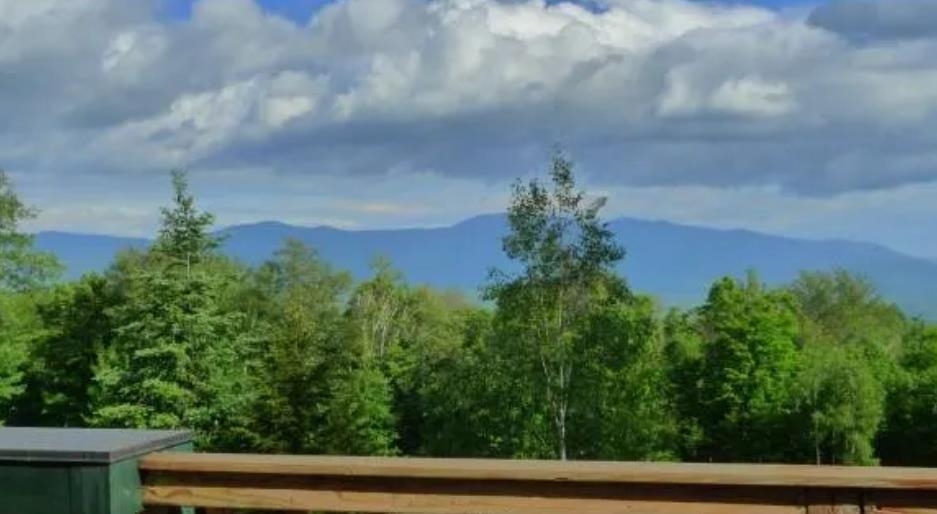 333 Wade Pasture Road Stowe, VT 05672 - Photo 2 of 8