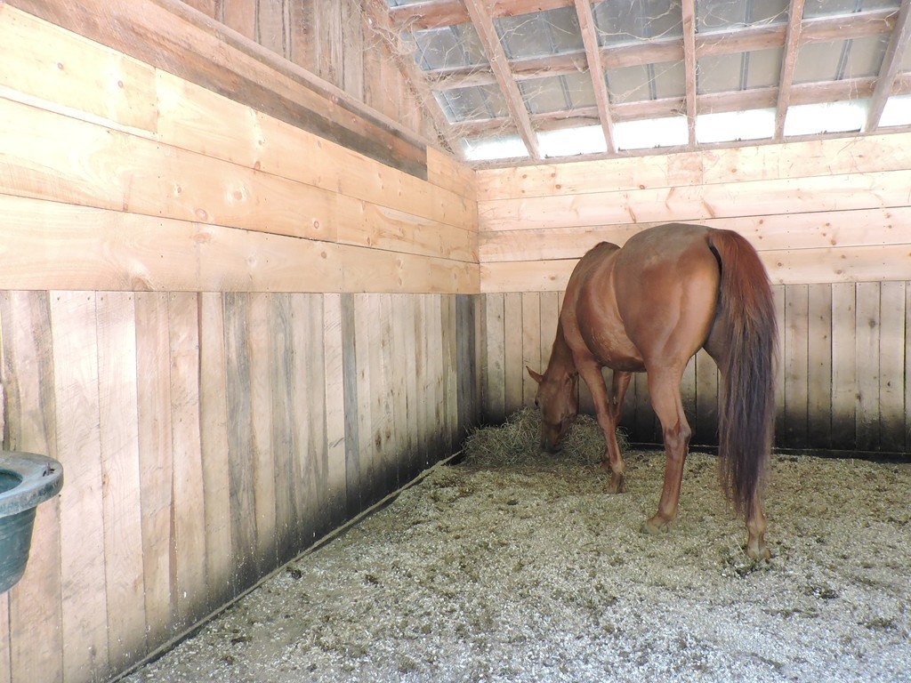 15 Reed Hill Road Wales, MA 01081 - Photo 20 of 30