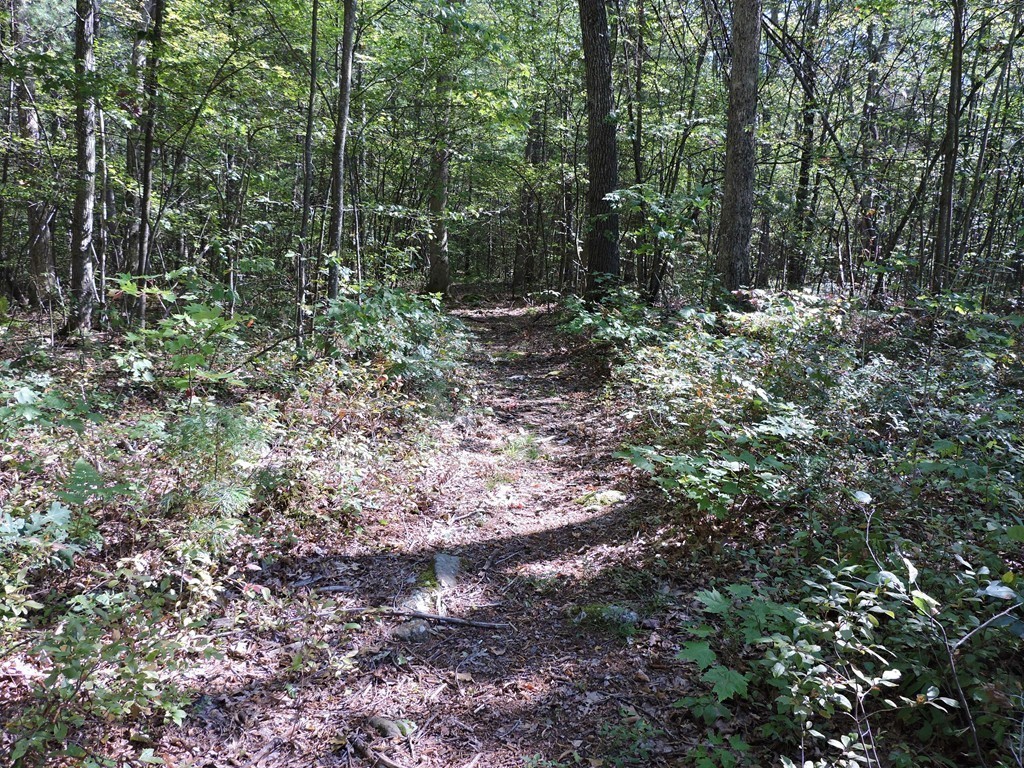 15 Reed Hill Road Wales, MA 01081 - Photo 28 of 30