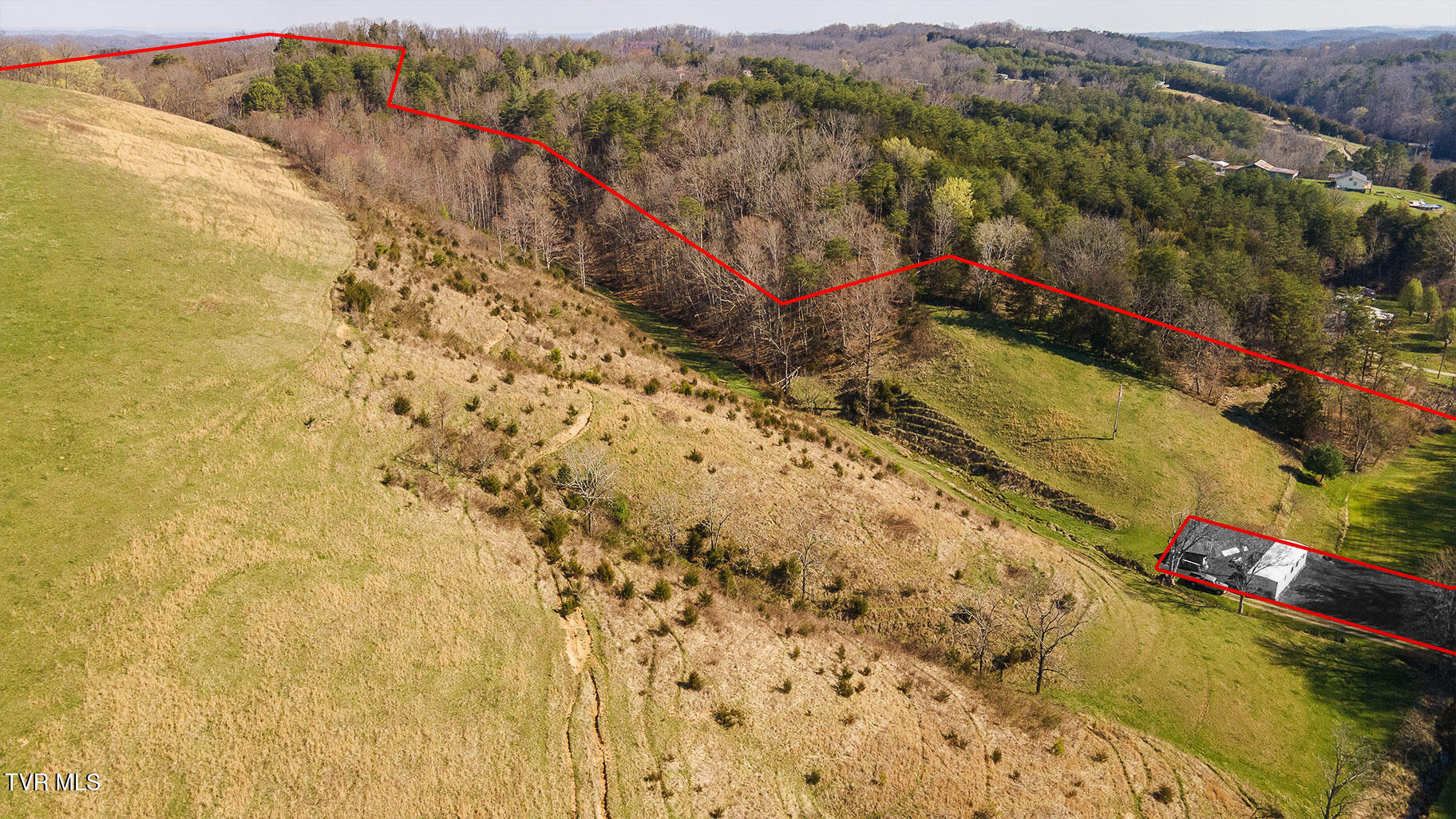 49.60 Looney Road Parrottsville, TN 37843 - Photo 14 of 56 Darbi-N-2555-Looney-Drive-Aerial_0318