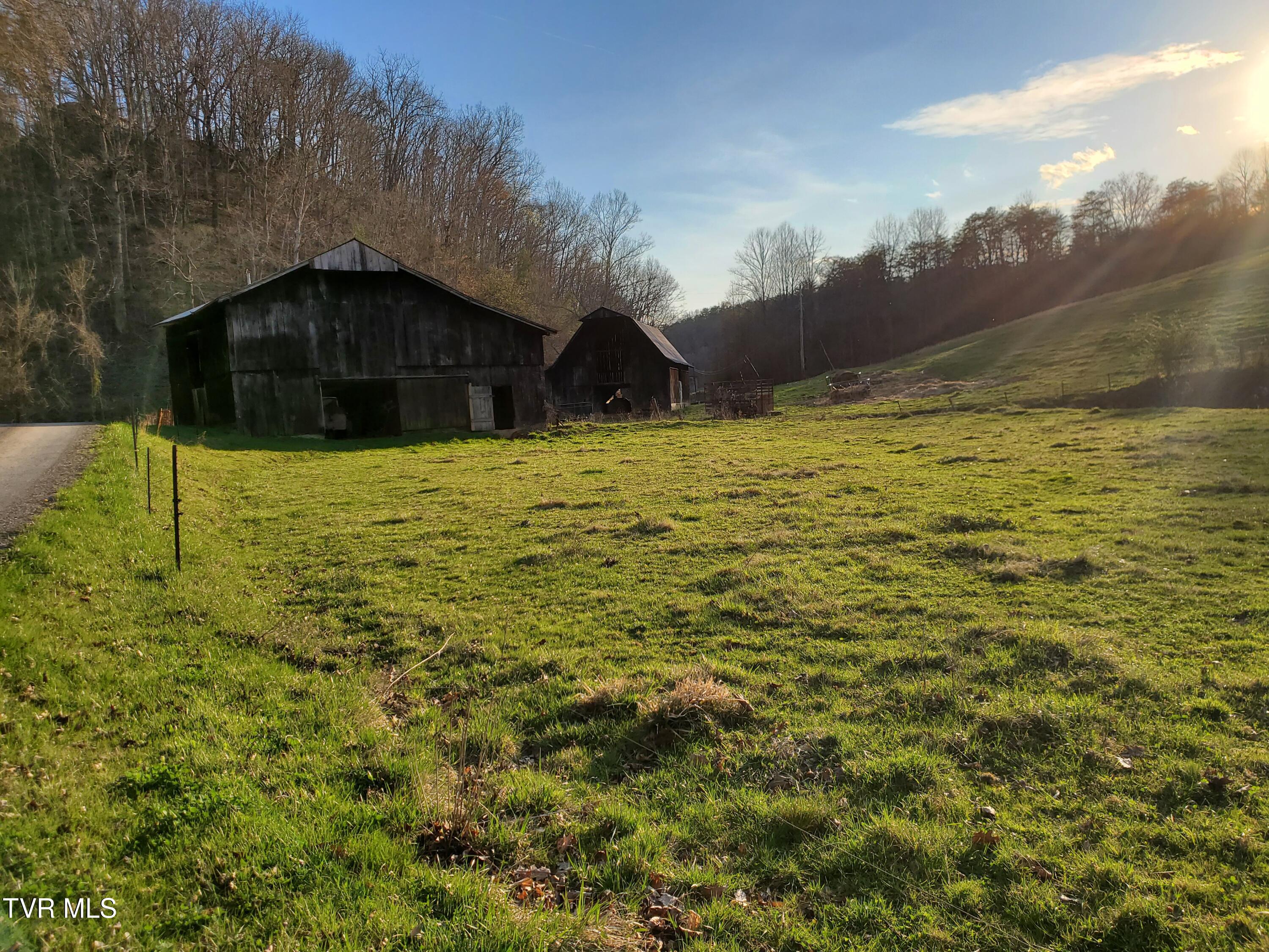 49.60 Looney Road Parrottsville, TN 37843 - Photo 17 of 56 20250328_184314