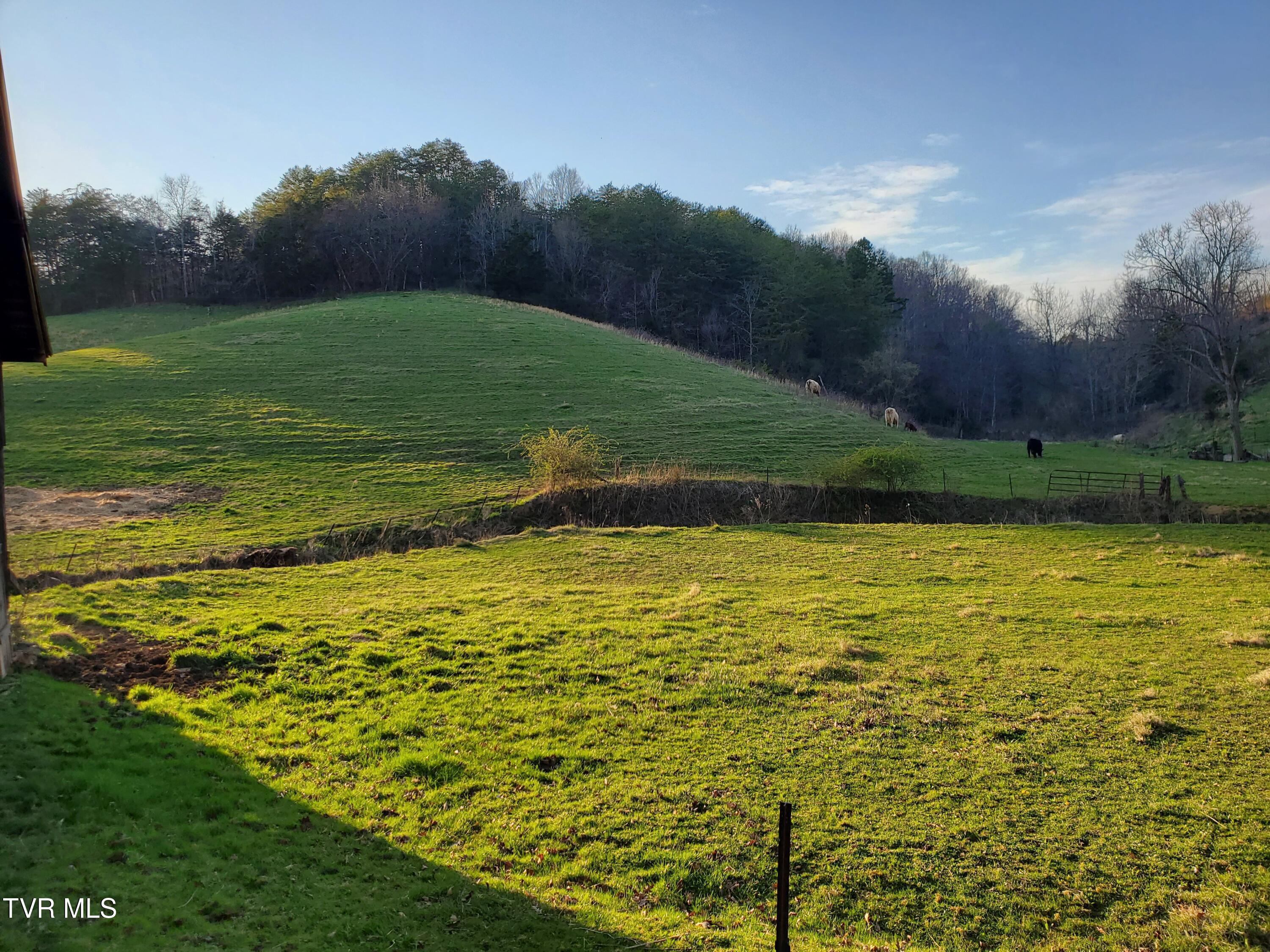 49.60 Looney Road Parrottsville, TN 37843 - Photo 18 of 56 20250328_184412