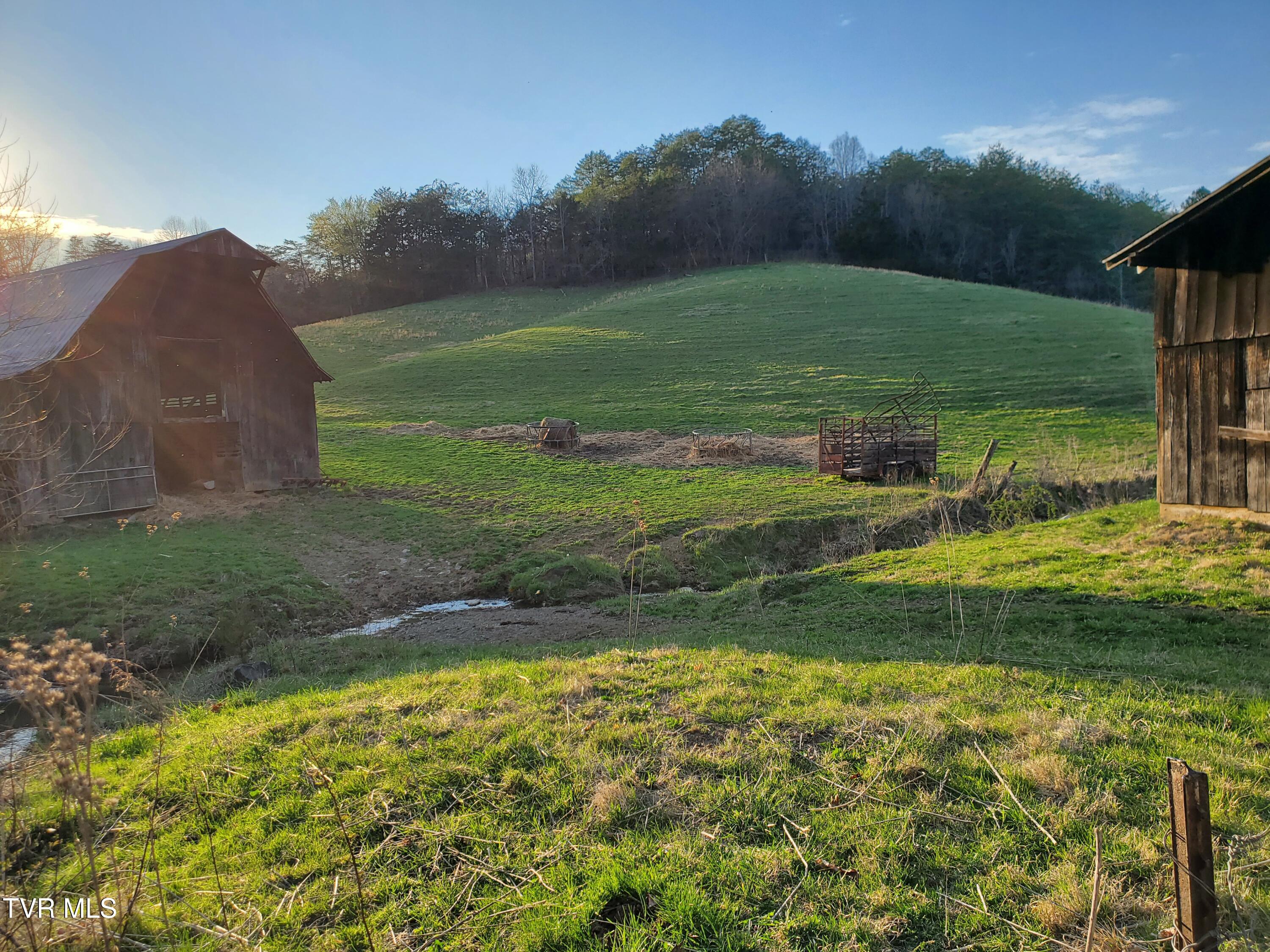 49.60 Looney Road Parrottsville, TN 37843 - Photo 19 of 56 20250328_184535
