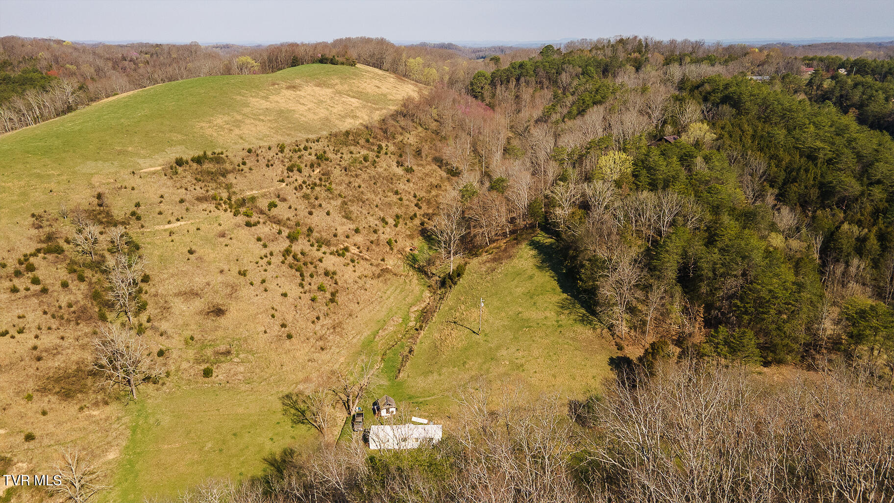 49.60 Looney Road Parrottsville, TN 37843 - Photo 20 of 56 Darbi-N-2555-Looney-Drive-Aerial_0315