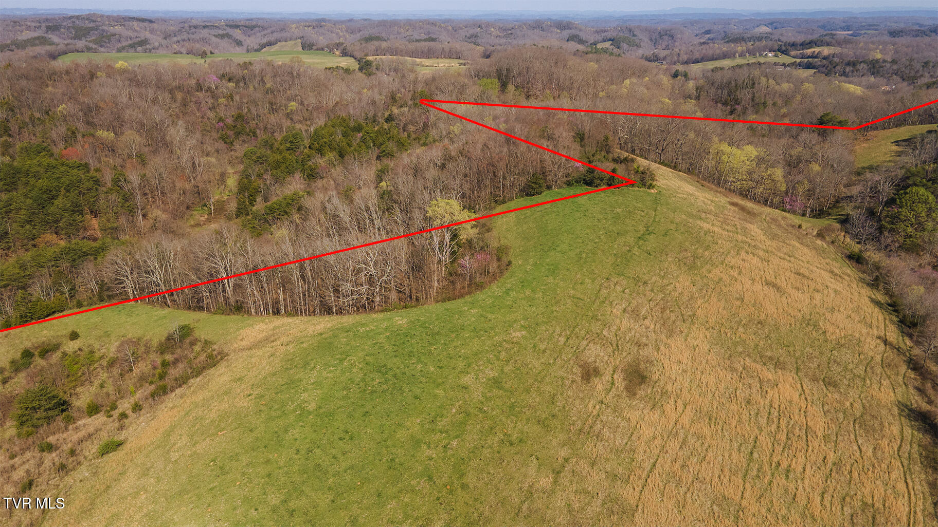 49.60 Looney Road Parrottsville, TN 37843 - Photo 24 of 56 Darbi-N-2555-Looney-Drive-Aerial_0336