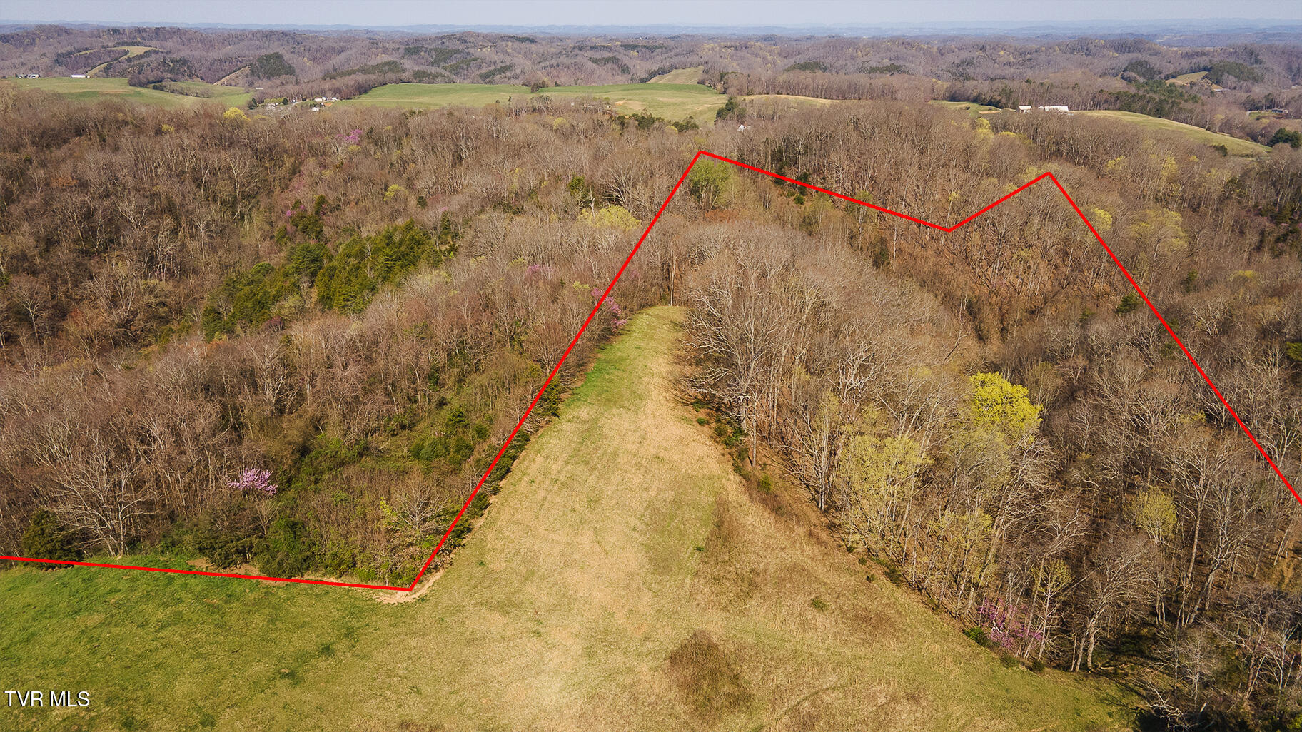 49.60 Looney Road Parrottsville, TN 37843 - Photo 25 of 56 Darbi-N-2555-Looney-Drive-Aerial_0338