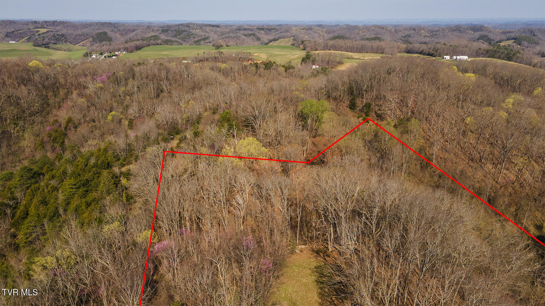 49.60 Looney Road Parrottsville, TN 37843 - Photo 26 of 56 Darbi-N-2555-Looney-Drive-Aerial_0340