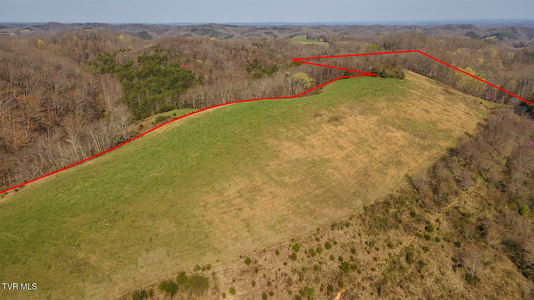 49.60 Looney Road Parrottsville, TN 37843 - Photo 28 of 56 Darbi-N-2555-Looney-Drive-Aerial_0350