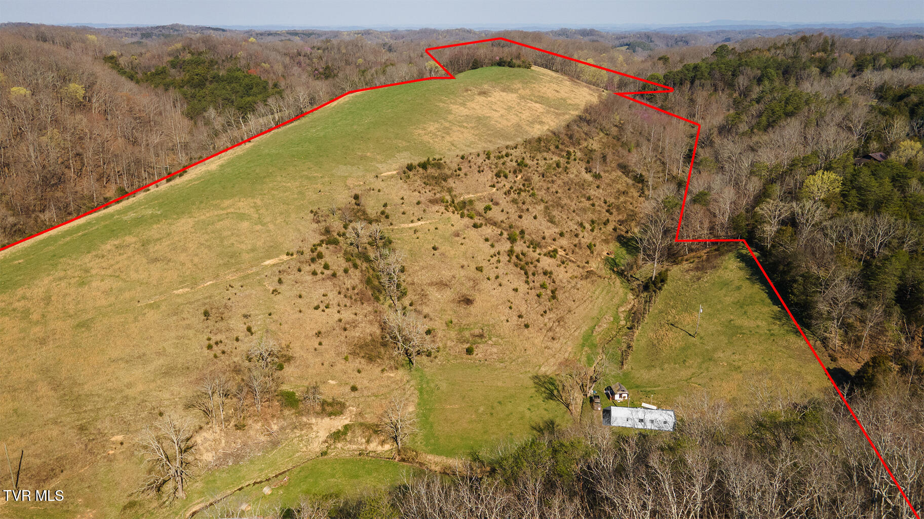 49.60 Looney Road Parrottsville, TN 37843 - Photo 29 of 56 Darbi-N-2555-Looney-Drive-Aerial_0351