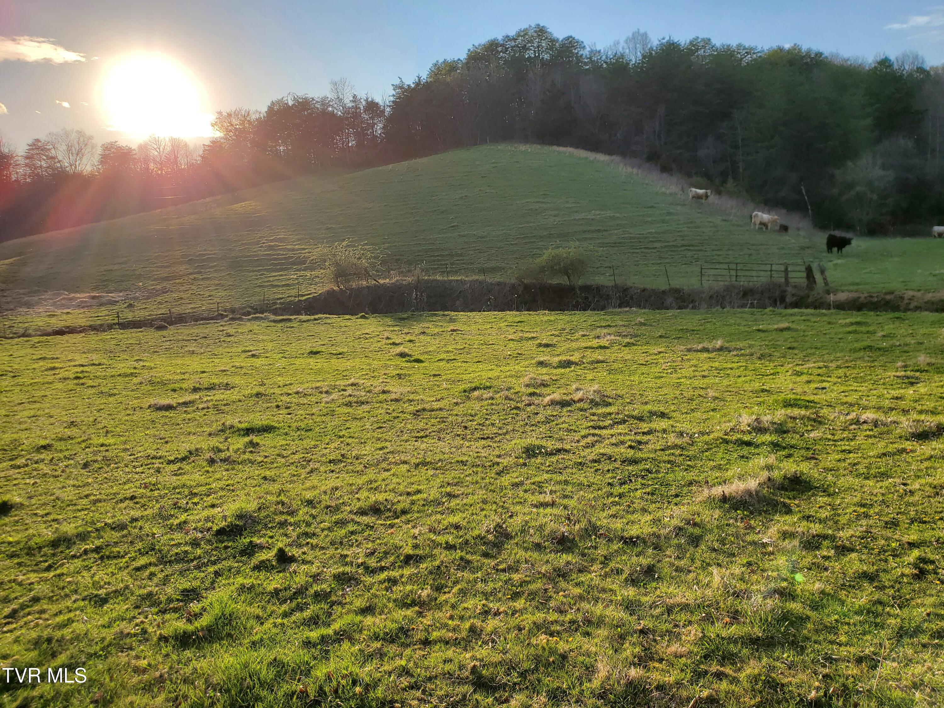 49.60 Looney Road Parrottsville, TN 37843 - Photo 3 of 56 20250328_184344