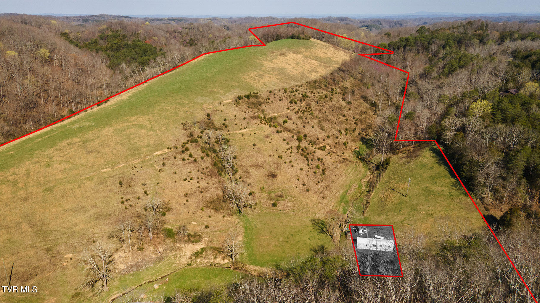 49.60 Looney Road Parrottsville, TN 37843 - Photo 32 of 56 Darbi-N-2555-Looney-Drive-Aerial_0351