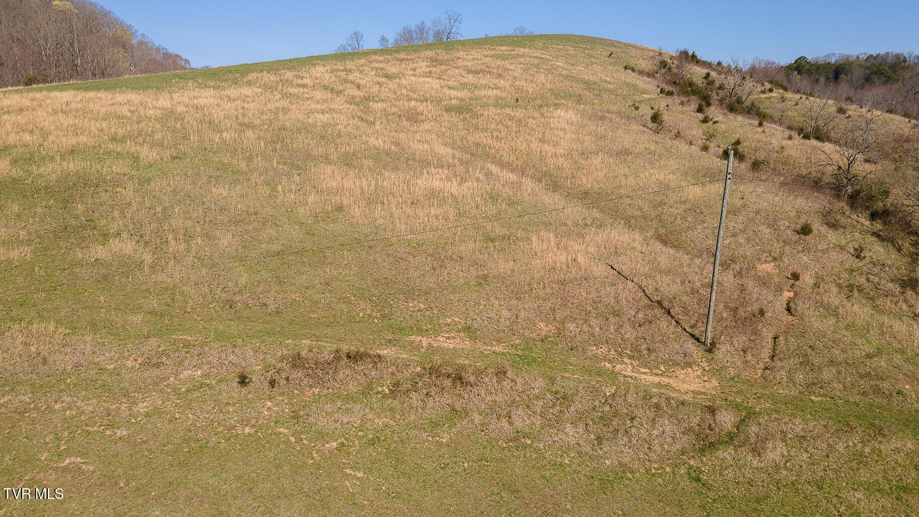 49.60 Looney Road Parrottsville, TN 37843 - Photo 37 of 56 Darbi-N-2555-Looney-Drive-Aerial_0366