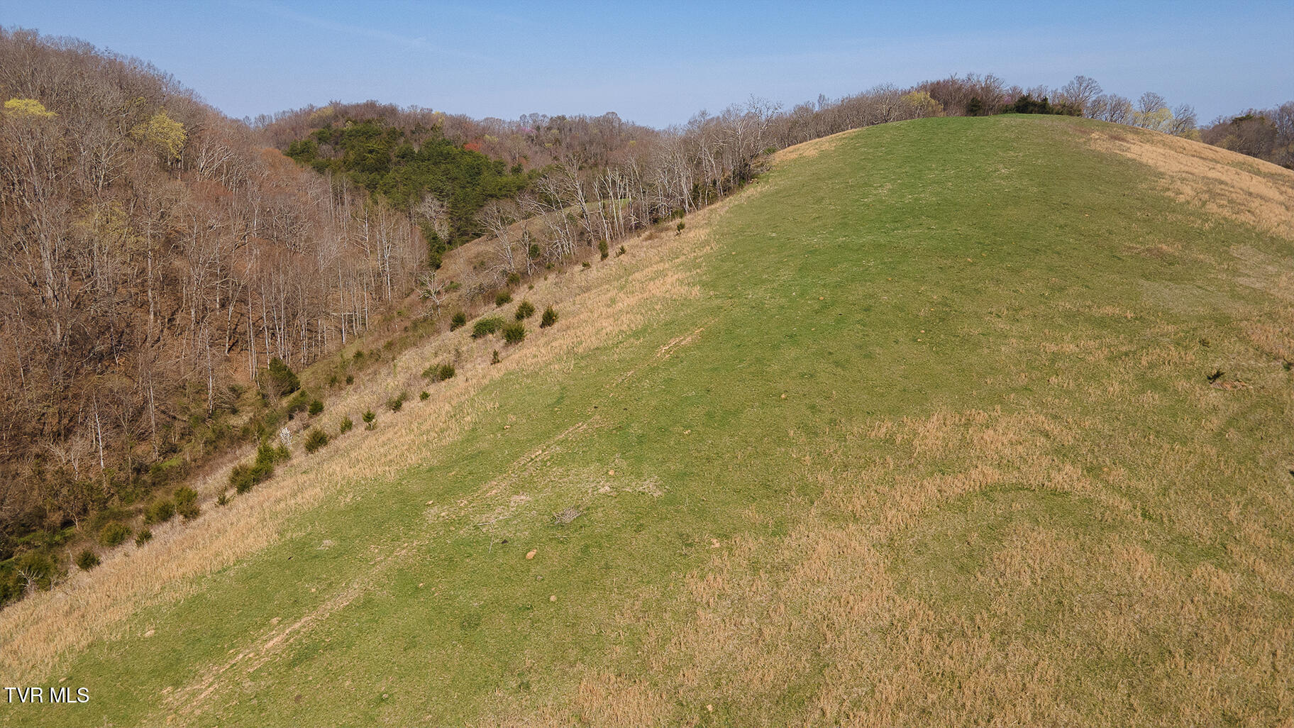 49.60 Looney Road Parrottsville, TN 37843 - Photo 38 of 56 Darbi-N-2555-Looney-Drive-Aerial_0368