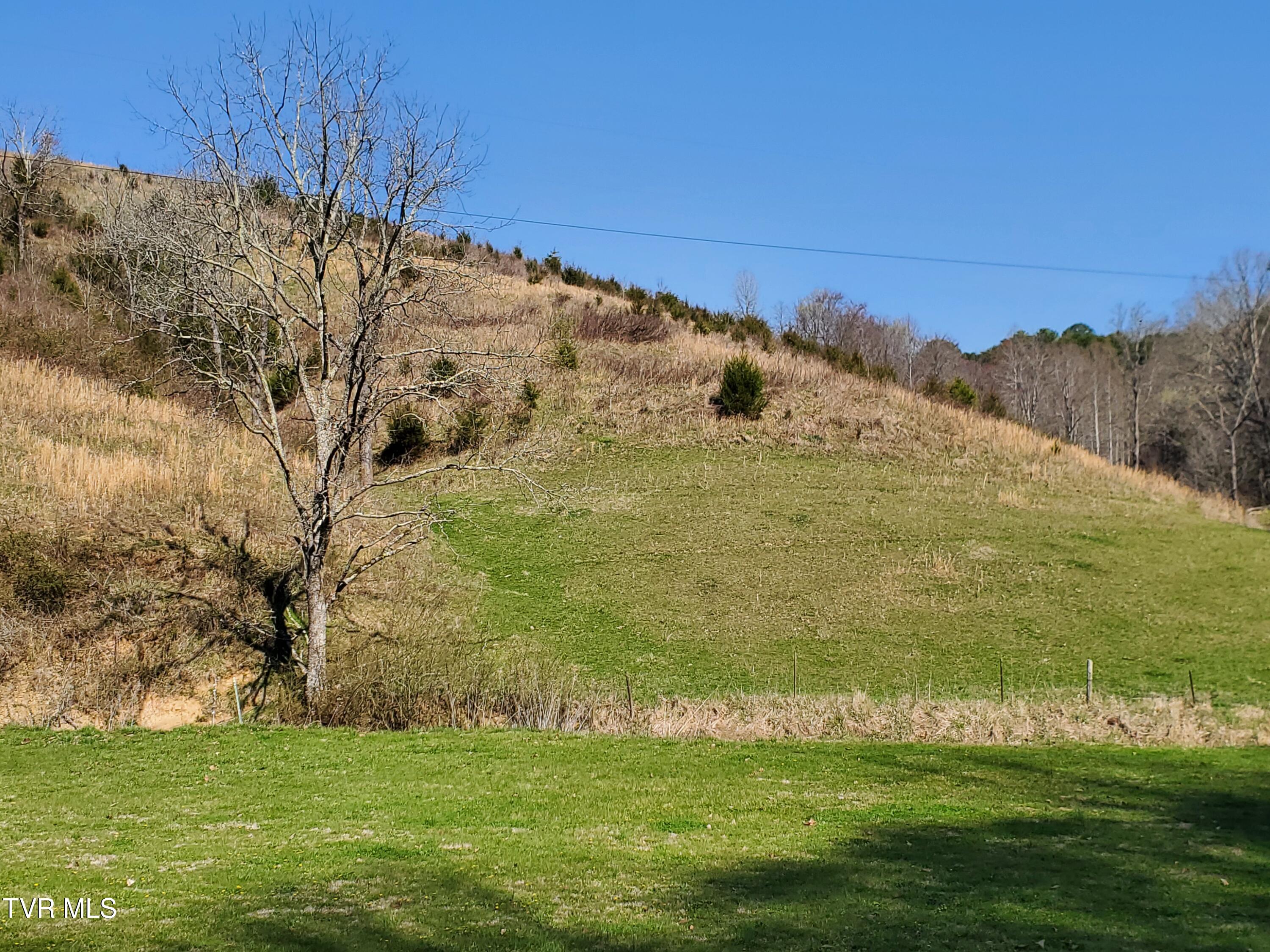 49.60 Looney Road Parrottsville, TN 37843 - Photo 4 of 56 20250328_110600