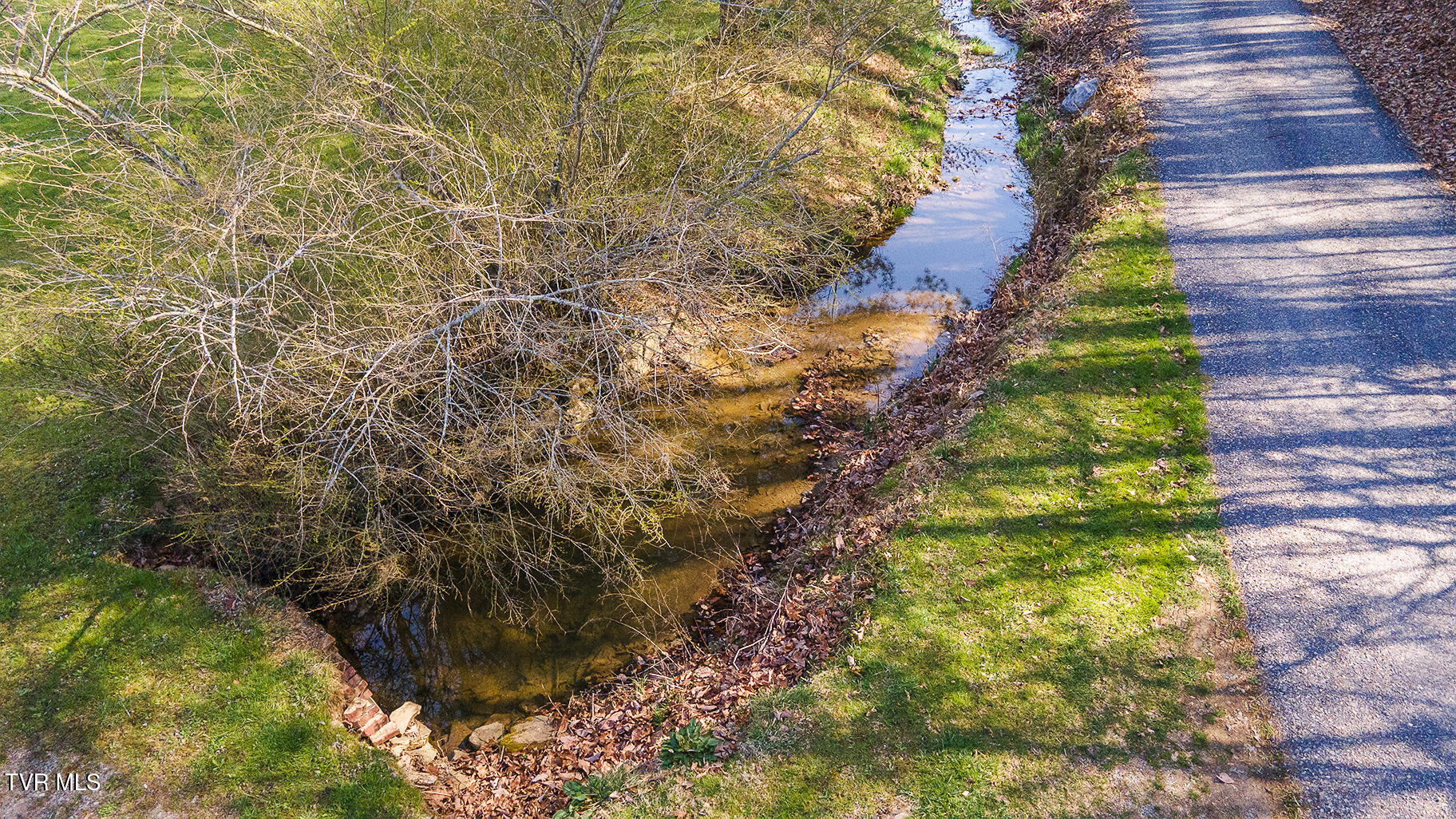 49.60 Looney Road Parrottsville, TN 37843 - Photo 43 of 56 Darbi-N-2555-Looney-Drive-Aerial_0373