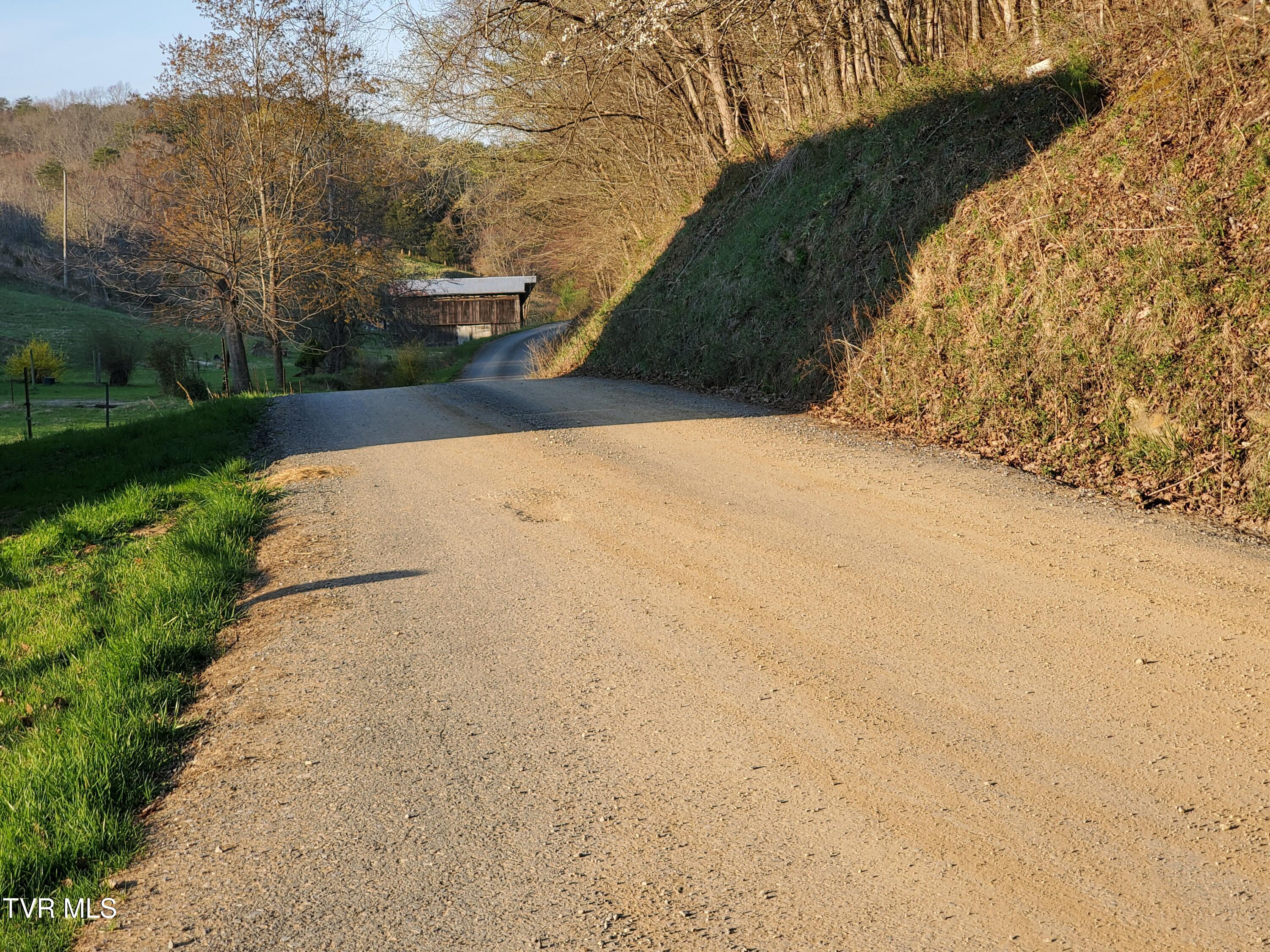 49.60 Looney Road Parrottsville, TN 37843 - Photo 45 of 56 20250328_184632