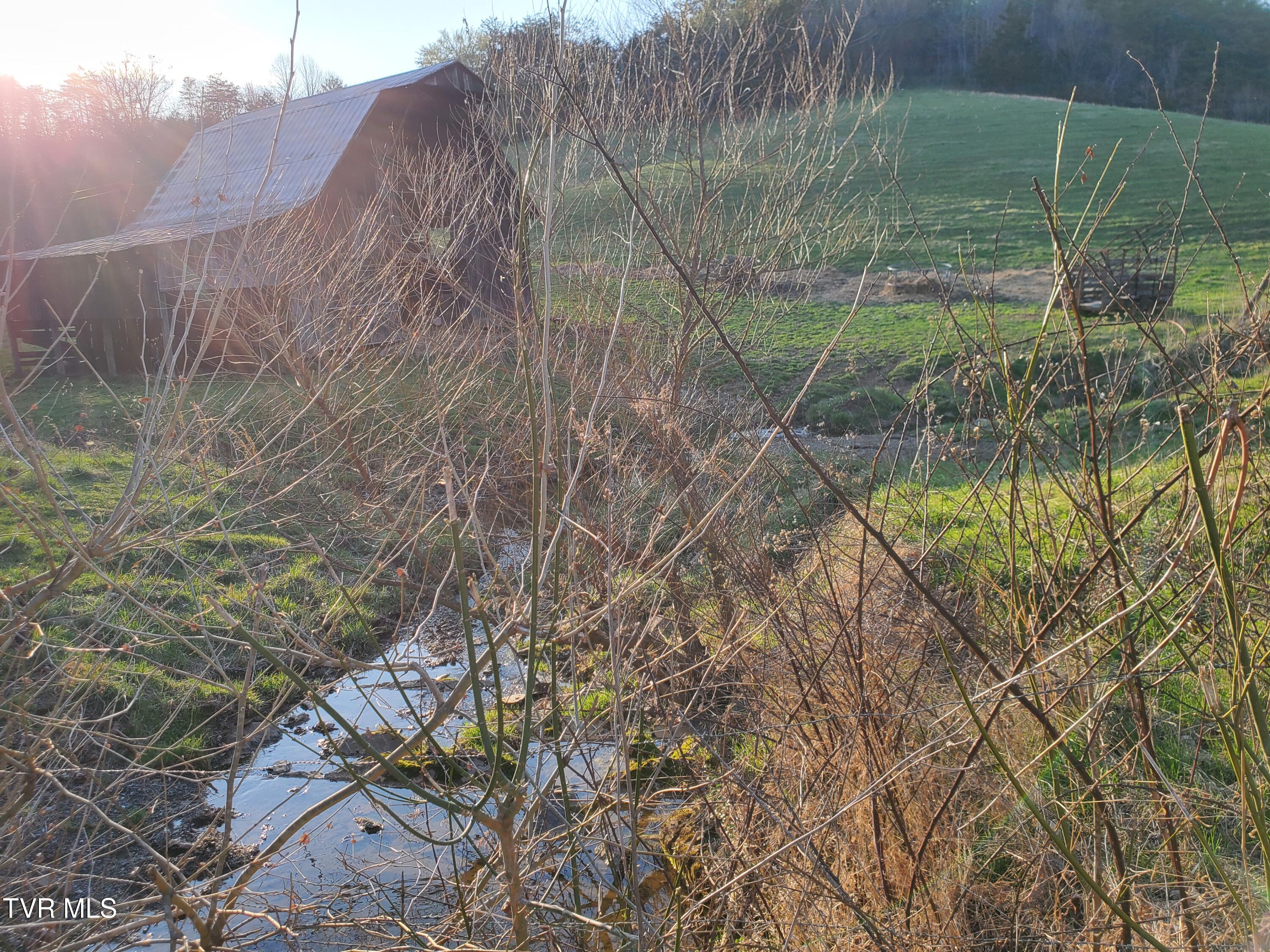 49.60 Looney Road Parrottsville, TN 37843 - Photo 48 of 56 20250328_184457