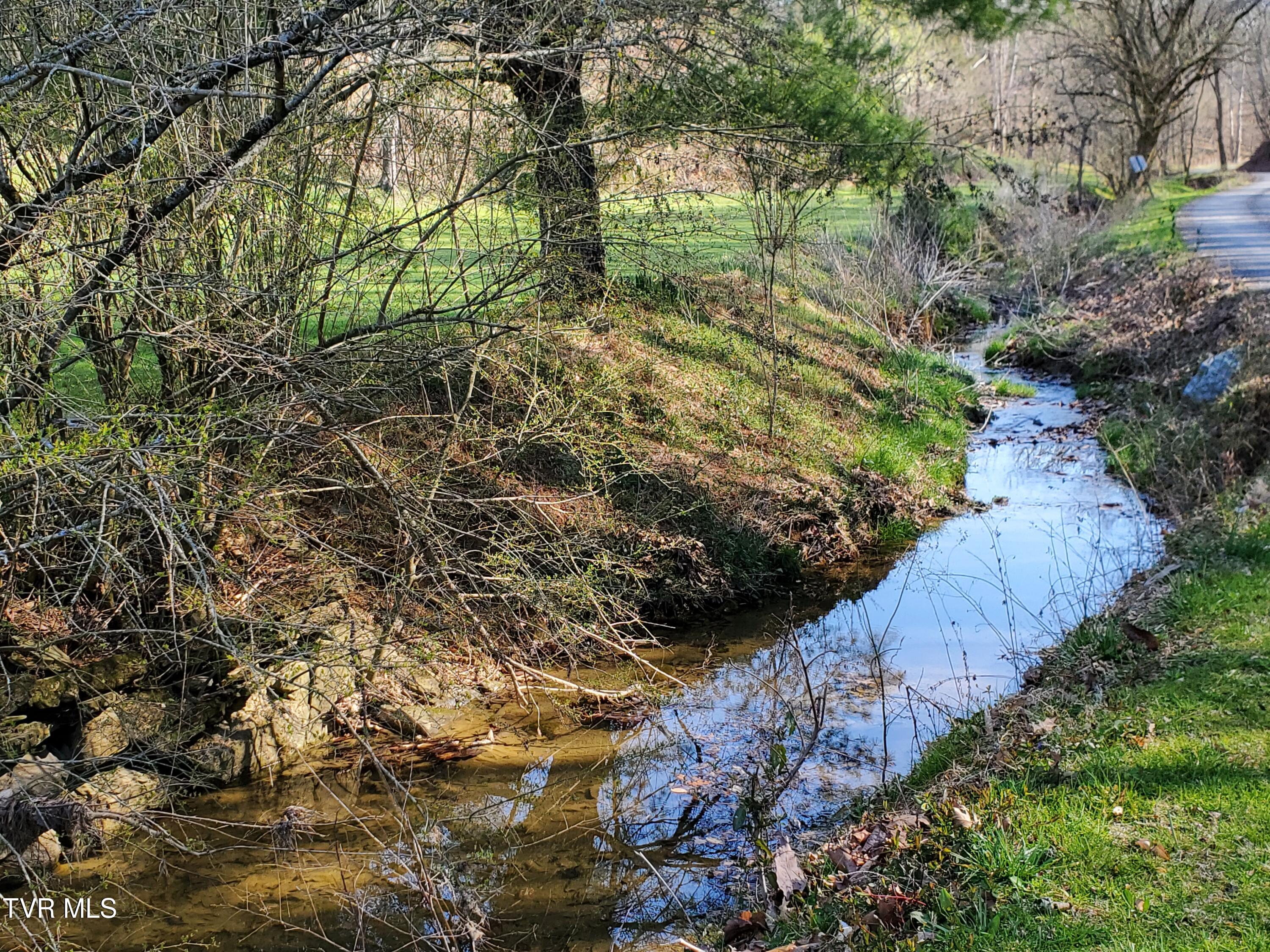 49.60 Looney Road Parrottsville, TN 37843 - Photo 56 of 56 20250328_105353