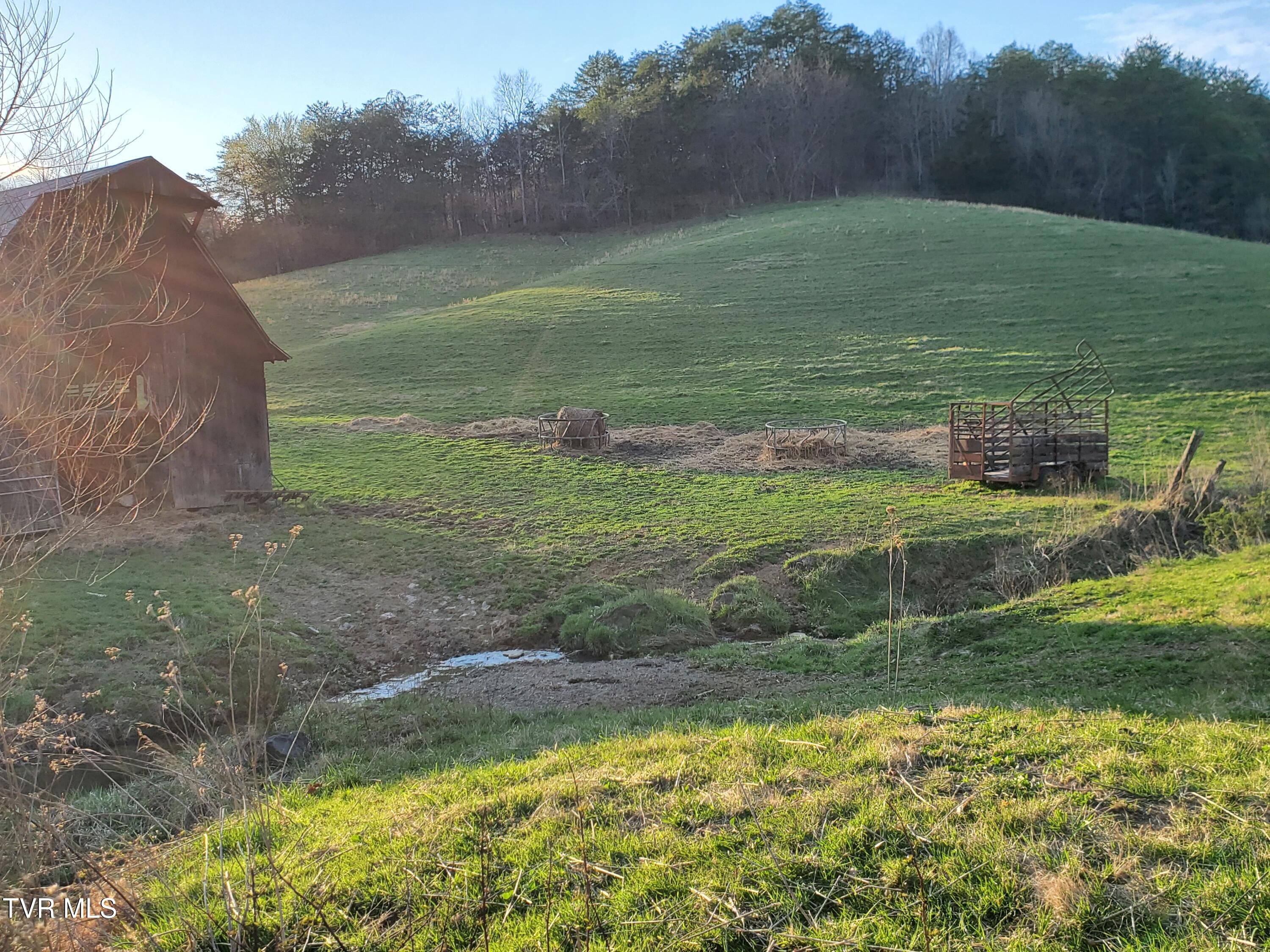 49.60 Looney Road Parrottsville, TN 37843 - Photo 6 of 56 20250328_184611