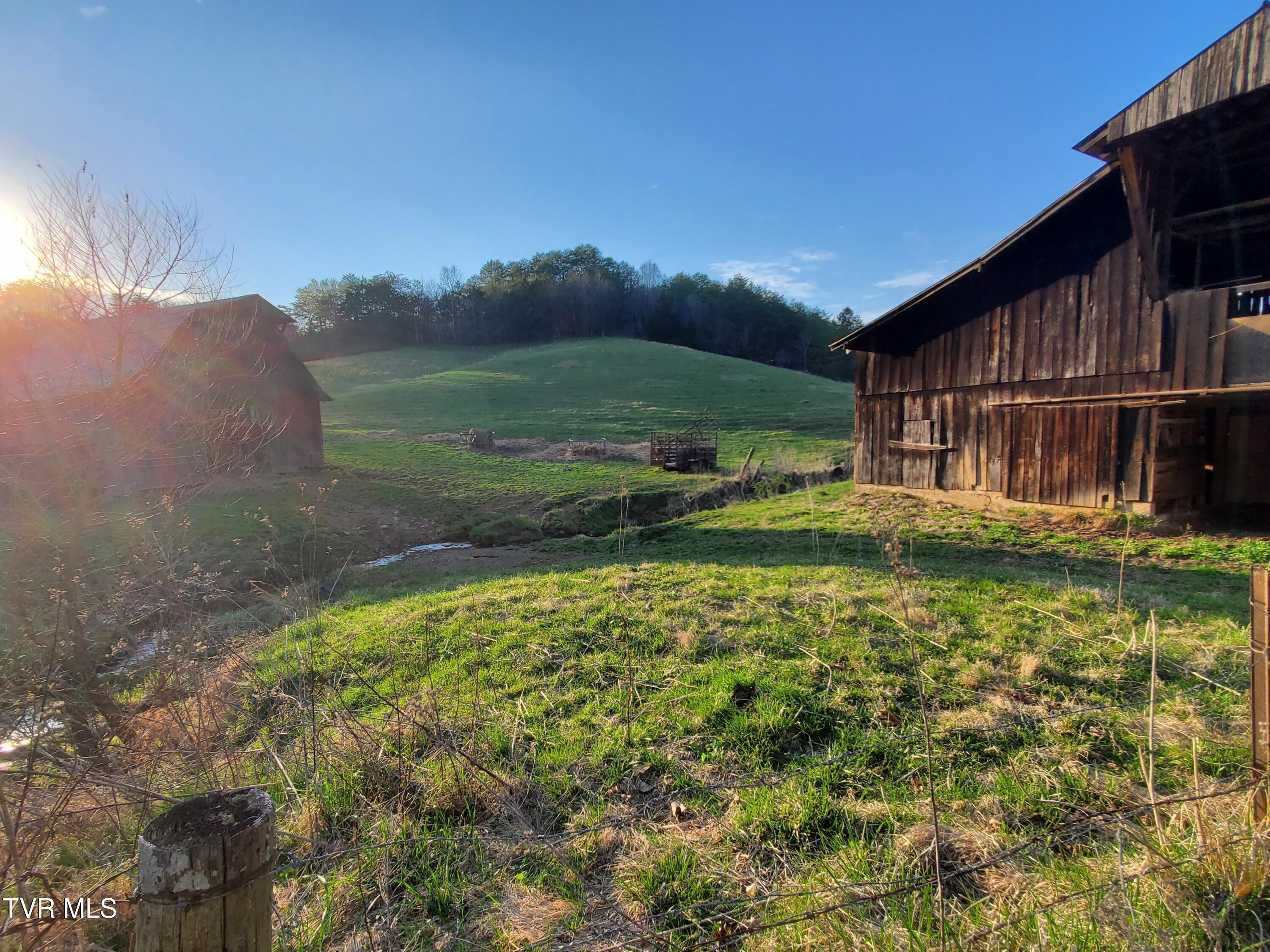 49.60 Looney Road Parrottsville, TN 37843 - Photo 7 of 56 20250328_184601