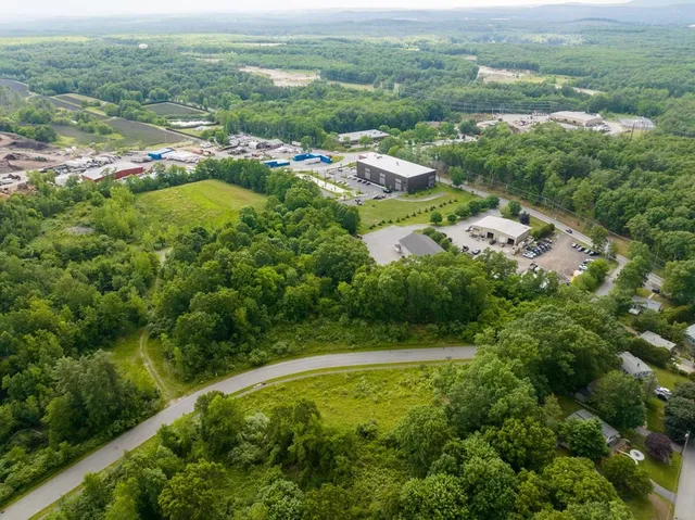 a view of a city with lush green forest