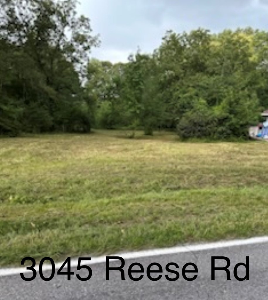 3045 Reese Road Columbus, GA 31907 - Photo 3 of 8 Gallery Image 3