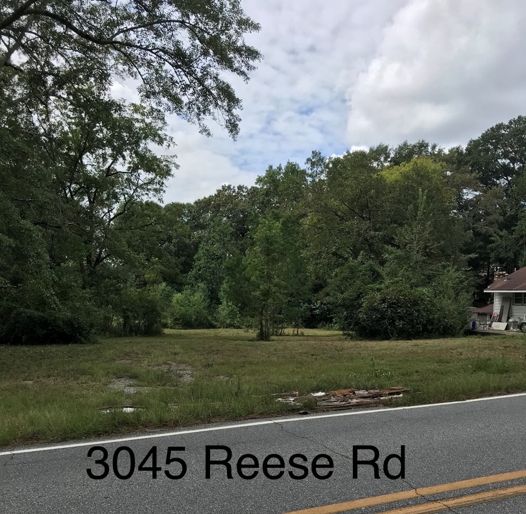 3045 Reese Road Columbus, GA 31907 - Photo 4 of 8 Gallery Image 4