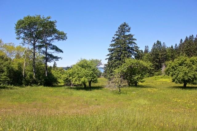 21 Eaton Point Road Deer Isle, ME 04627 - Photo 7 of 34 Photo