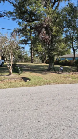 a view of a backyard with large trees