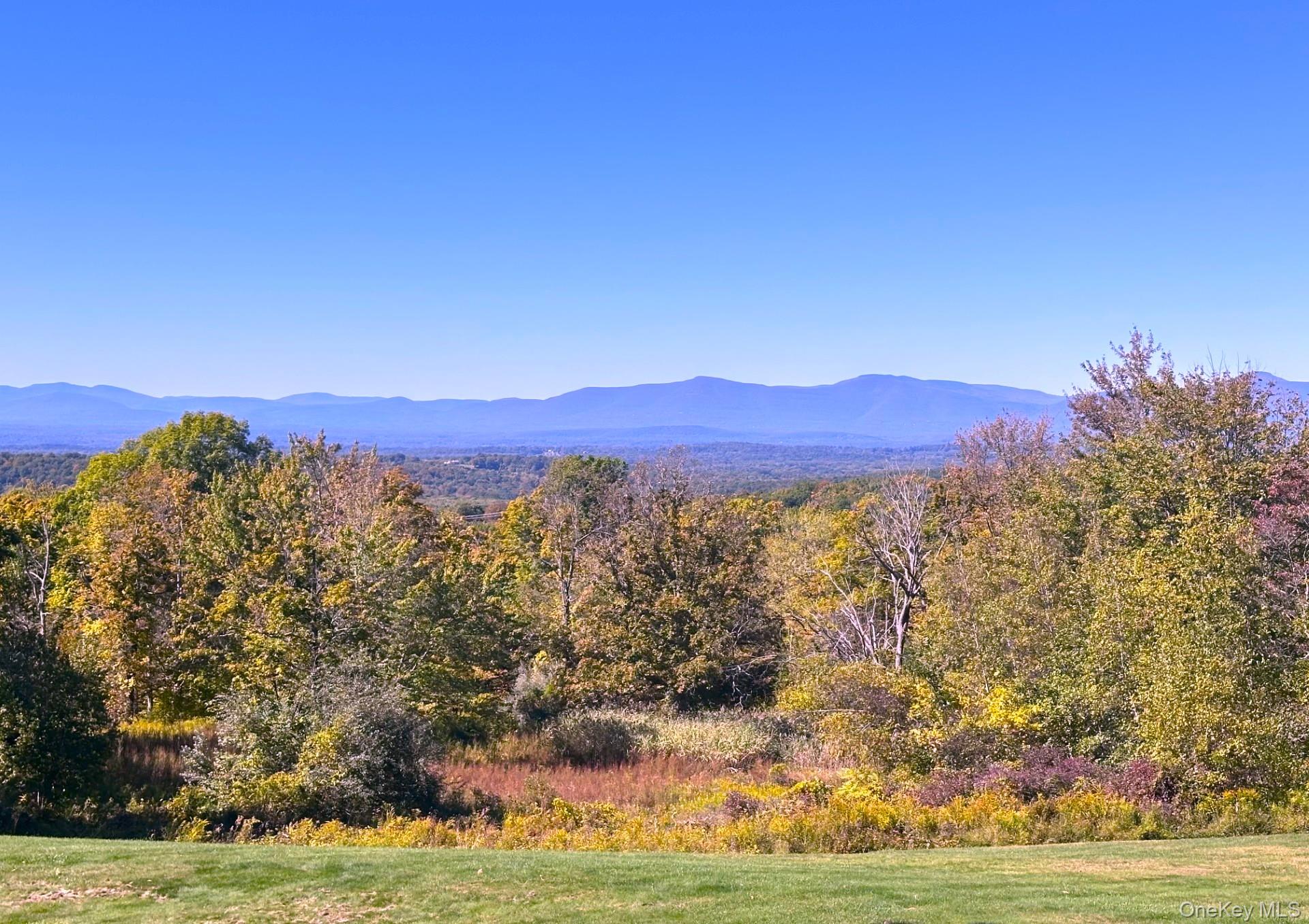 926 Turkey Hill Road Red Hook, NY 12571 - Photo 2 of 50 Catskill Mountain views