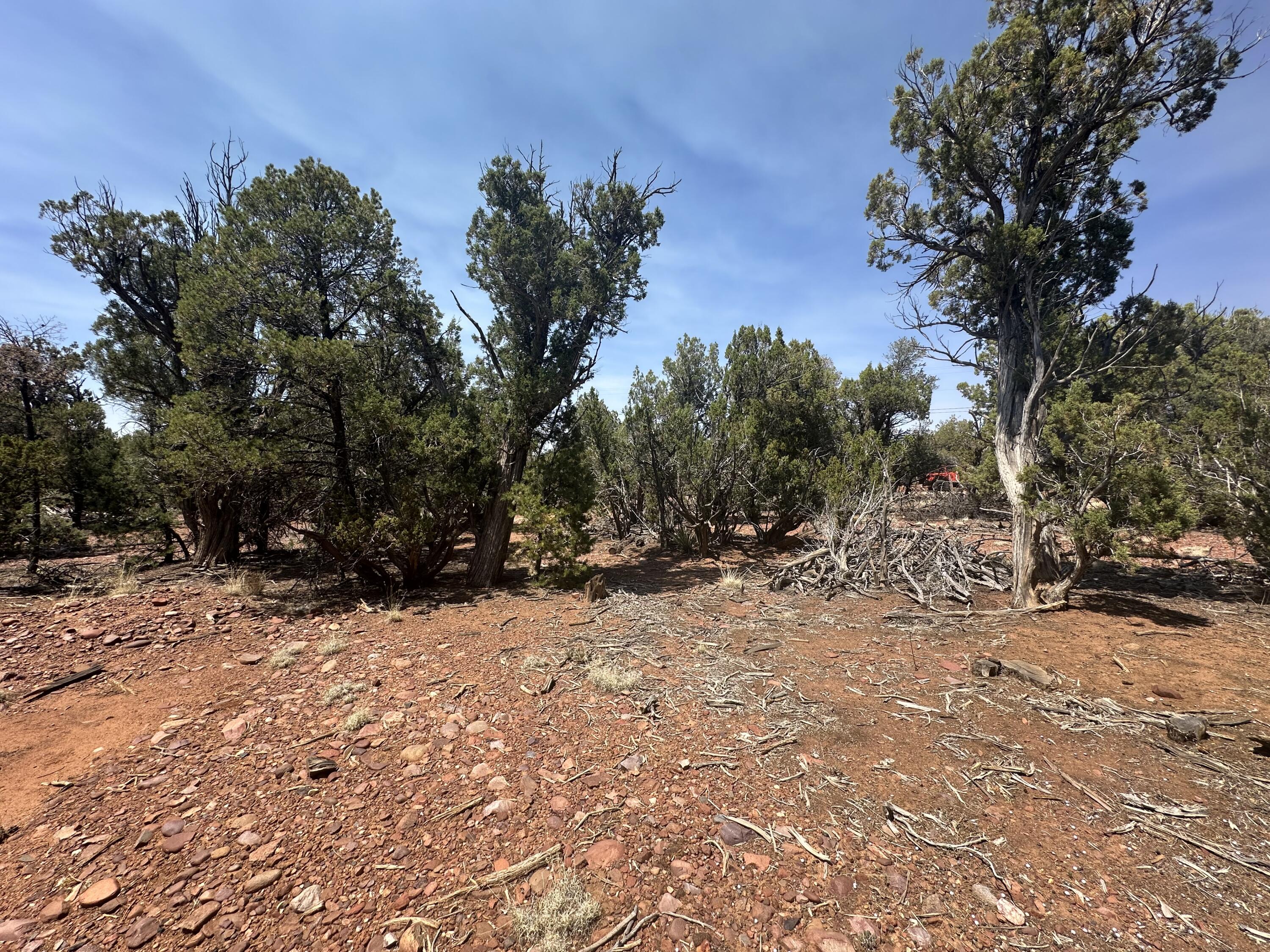 Lot #2 Power Line Road Pinetop, AZ 85935 - Photo 2 of 9