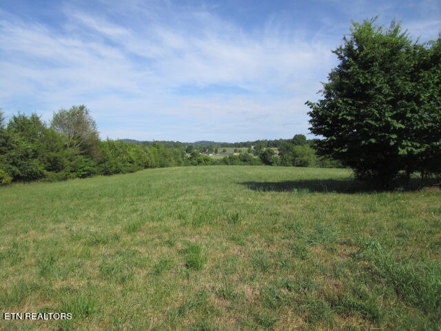 8129 Monday Corryton, TN 37721 - Photo 3 of 13 IMG_3998