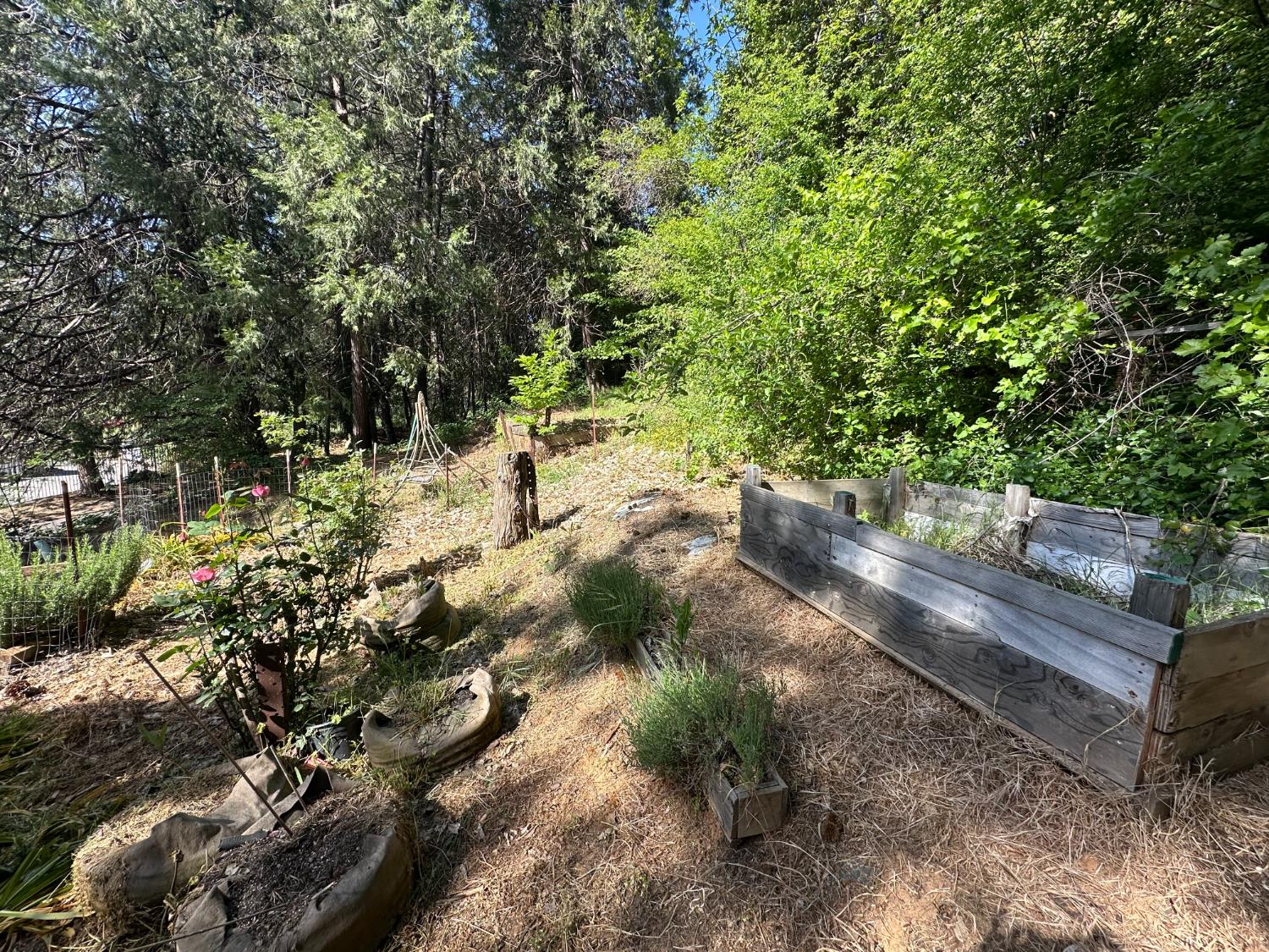 526 Mill Street, Unit 1 Grass Valley, CA 95945 - Photo 46 of 67