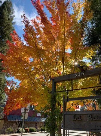 $695,000 | 526 Mill Street, Unit 1, Grass Valley, CA 95945